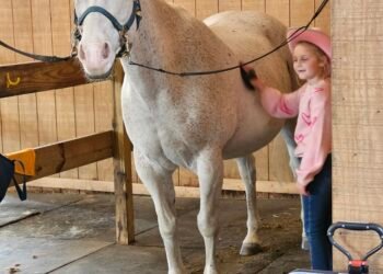 Horses for Heroes event offers abundance of help