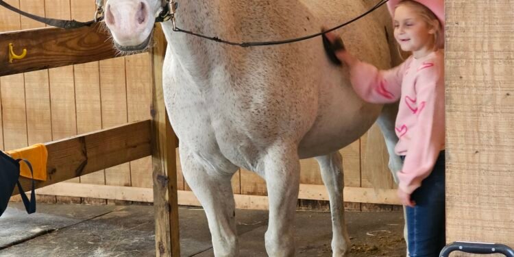 Horses for Heroes event offers abundance of help