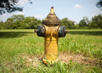 Downtown residents worry about whiskey fungus