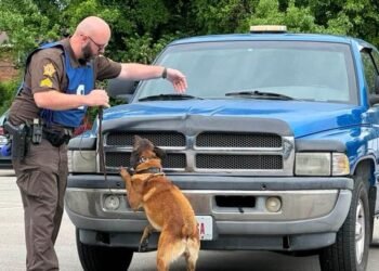 Henderson K-9 units bring home regional awards
