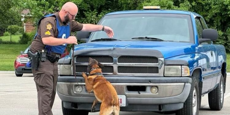 Henderson K-9 units bring home regional awards