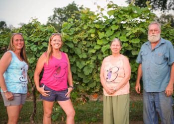 It’s a family business running Boucherie Vineyards & Winery