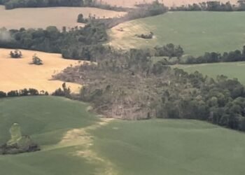 EMA director’s assistant recounts events of May tornado in Dawson Springs