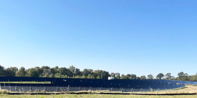 Some Robards residents resent thousands of acres of solar panels
