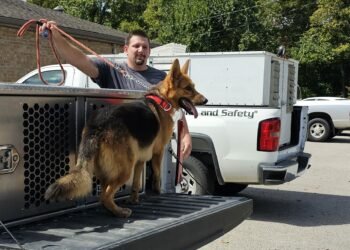 ‘He’s the rescued who wants to be the rescuer’