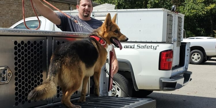 ‘He’s the rescued who wants to be the rescuer’