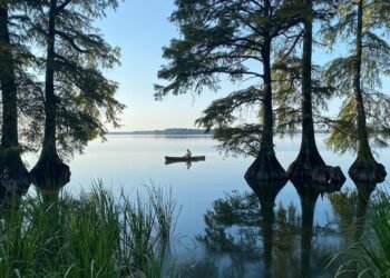 An abundance of history and nature await at Reelfoot Lake