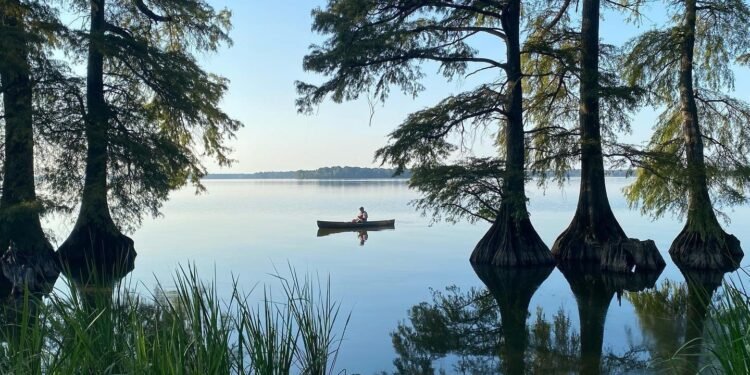 An abundance of history and nature await at Reelfoot Lake