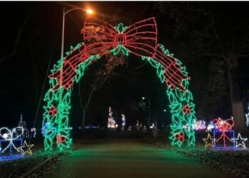 Nothing gets you into the spirit like festive light displays