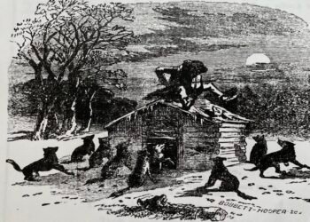 Dick Henderson fiddled to foil a pack of wolves