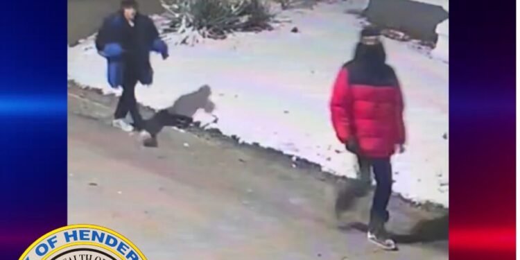 Police look for two persons of interest in ‘shots fired’ incident