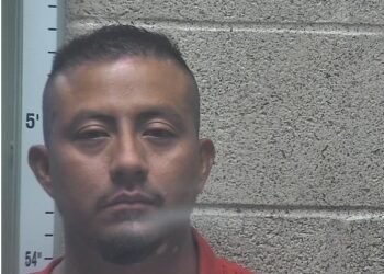 Man pleads guilty to manslaughter for hit and run that led to a death