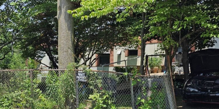 Corydon man dead after being shot by sheriff’s deputy