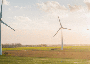 BRIEFS: Barr campaigns in Henderson; Park’s new play; Daniel Pitino Shelter hosts fundraisers in July