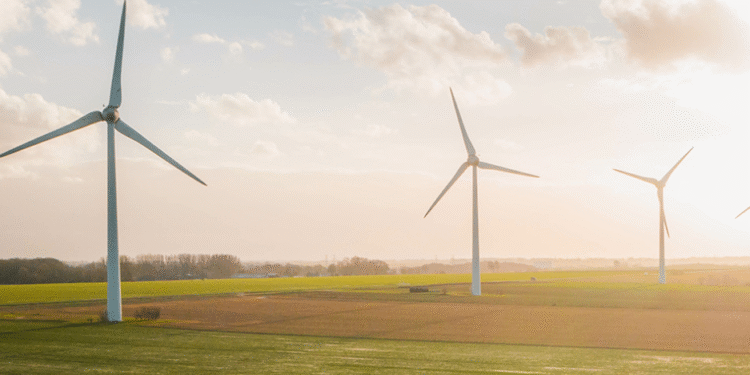 BRIEFS: Barr campaigns in Henderson; Park’s new play; Daniel Pitino Shelter hosts fundraisers in July