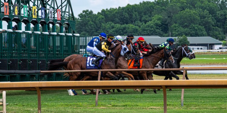 Ellis Park opens season