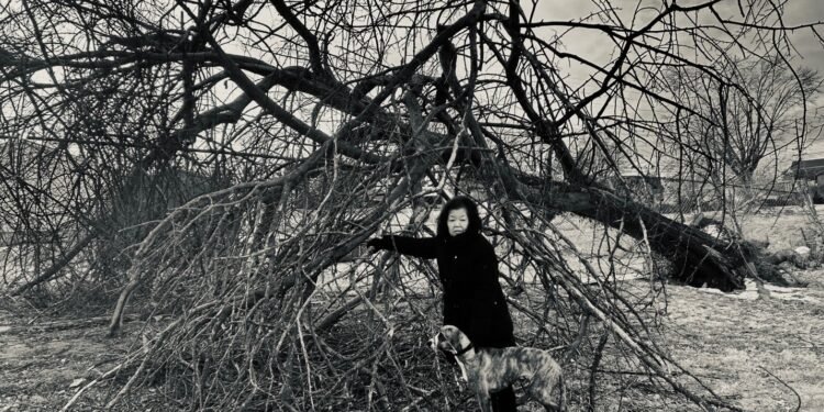 When your loved one’s dementia journey feels like a Glen Campbell song