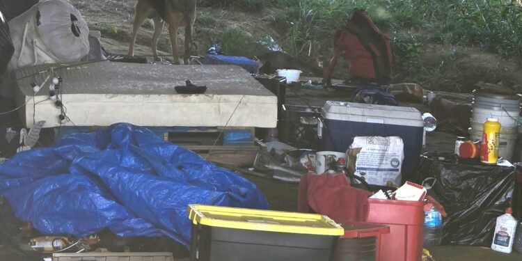 Advocates say local housing is in ‘crisis’