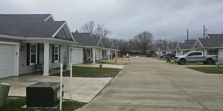 Officials say mass foreclosures have helped redevelopment efforts