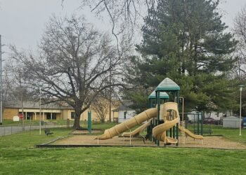 City plans funding for Anthony Brooks Park renovation