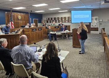 Wind turbine project reps say recommendations are too strict