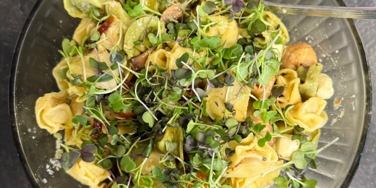 A meal by itself or with an added protein