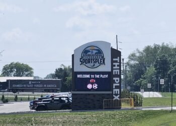 A new swimming pool, pickleball complex and drive-in movie theater all make the list of top-ranked city parks projects