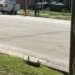 Armadillos sighted in Henderson city limits