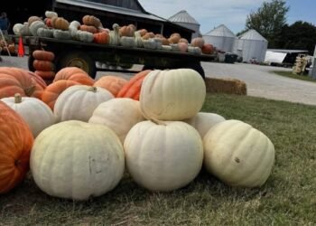 Capture that cozy fall feeling with a trip to the farm
