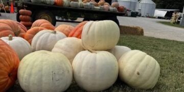 Capture that cozy fall feeling with a trip to the farm